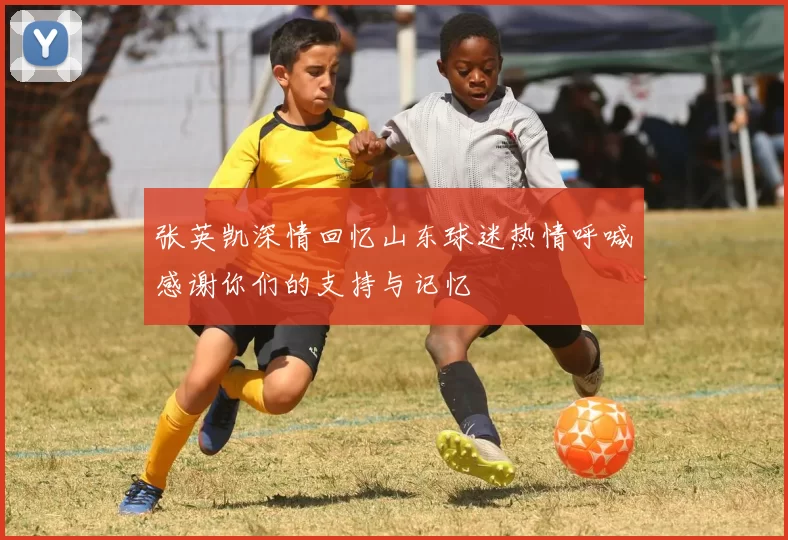 张英凯深情回忆山东球迷热情呼喊感谢你们的支持与记忆